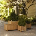English Planter